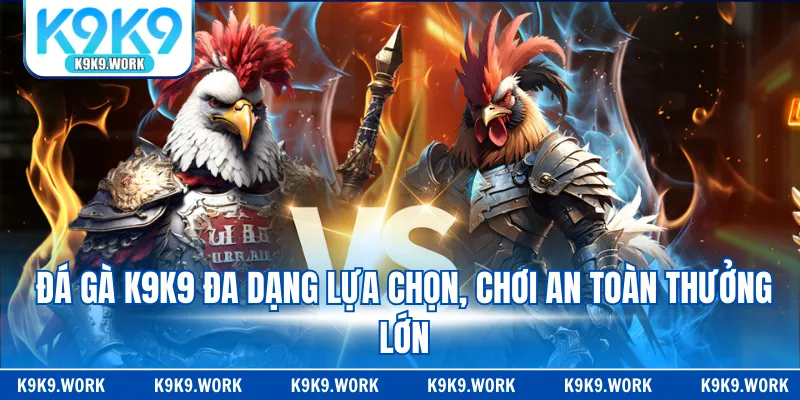 Đá gà K9K9 đa dạng lựa chọn, chơi an toàn thưởng lớn